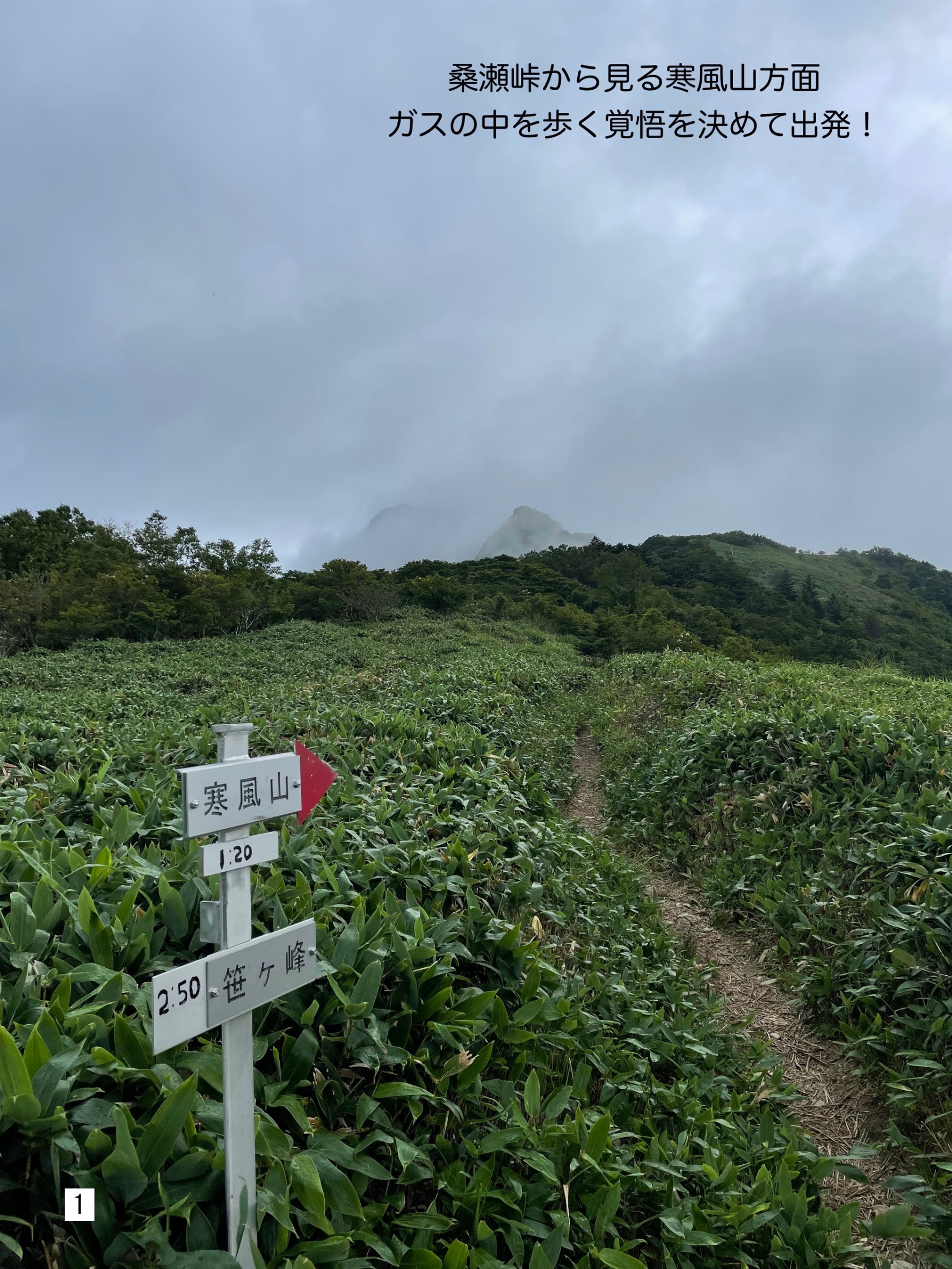 石鎚山々登山部】寒風山・笹ヶ峰(西条市) | えひめさんさん物語