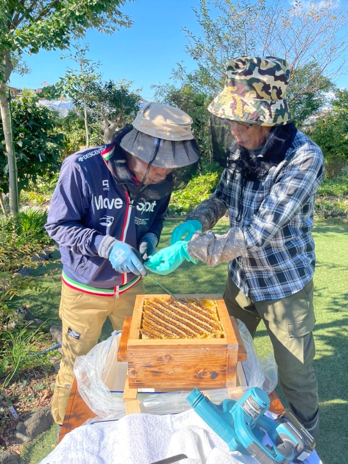 古民家で養蜂！？古民家養蜂園fumiのニホンミツバチを見学してきた | えひめさんさん物語